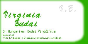 virginia budai business card